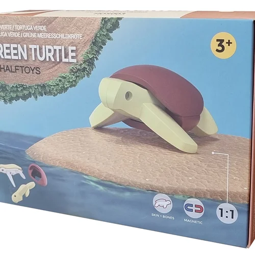 ساختنی 3 بعدی مغناطیسی «گرین ترتل : لاک پشت سبز» HOS003