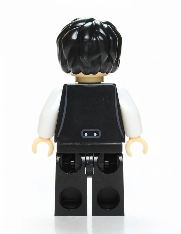 نمای پشت مینی فیگور هری پاتر