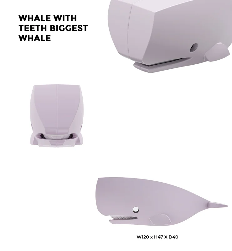 خرید بازی فکری ساختنی مغناطیسی وال، نهنگ، حیوان دریایی، ماهی 3 بعدی مغناطیسی «وال کاچالوت: نهنگ» Halftoys Magnetic 3D Bone Puzzle Magnet Play Ocean Friends Cachalot whale HOS005
