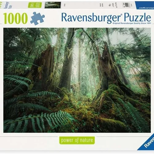 پازل رونزبرگر 1000 تکه در جنگل In the Forest 12000292