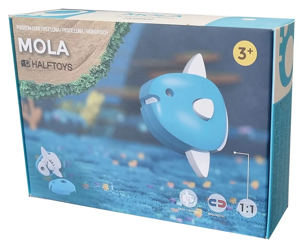 خرید بازی فکری ساختنی آبزی، حیوان دریایی، ماهی 3 بعدی مغناطیسی «مولا» Halftoys 3D Bone Puzzle Magnet Play Ocean Friends Mola HOS002