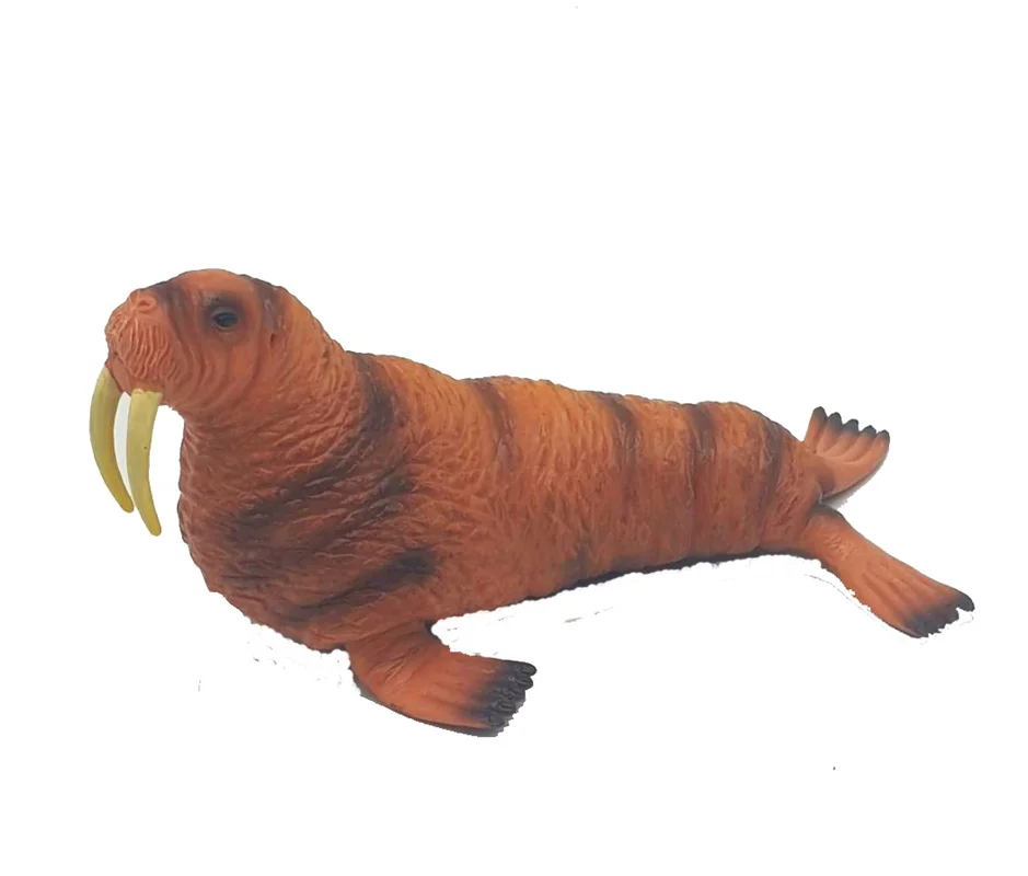 گراز دریایی فیگور مدل واقعی حیوانات،   walrus Animals figure M6016