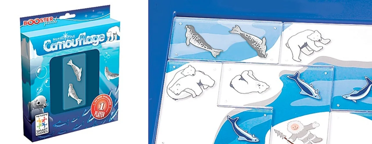 خرید بازی فکری استتار در قطب شمال Camouflage Board game