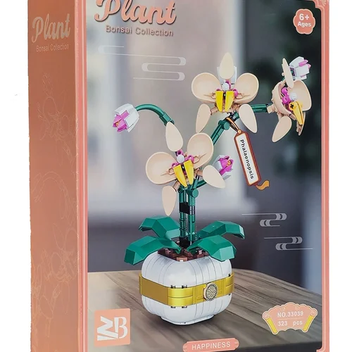 گلدان گل ارکیده فالِنوپسیس Orchid Plant Pot Phalaenopsis 33039