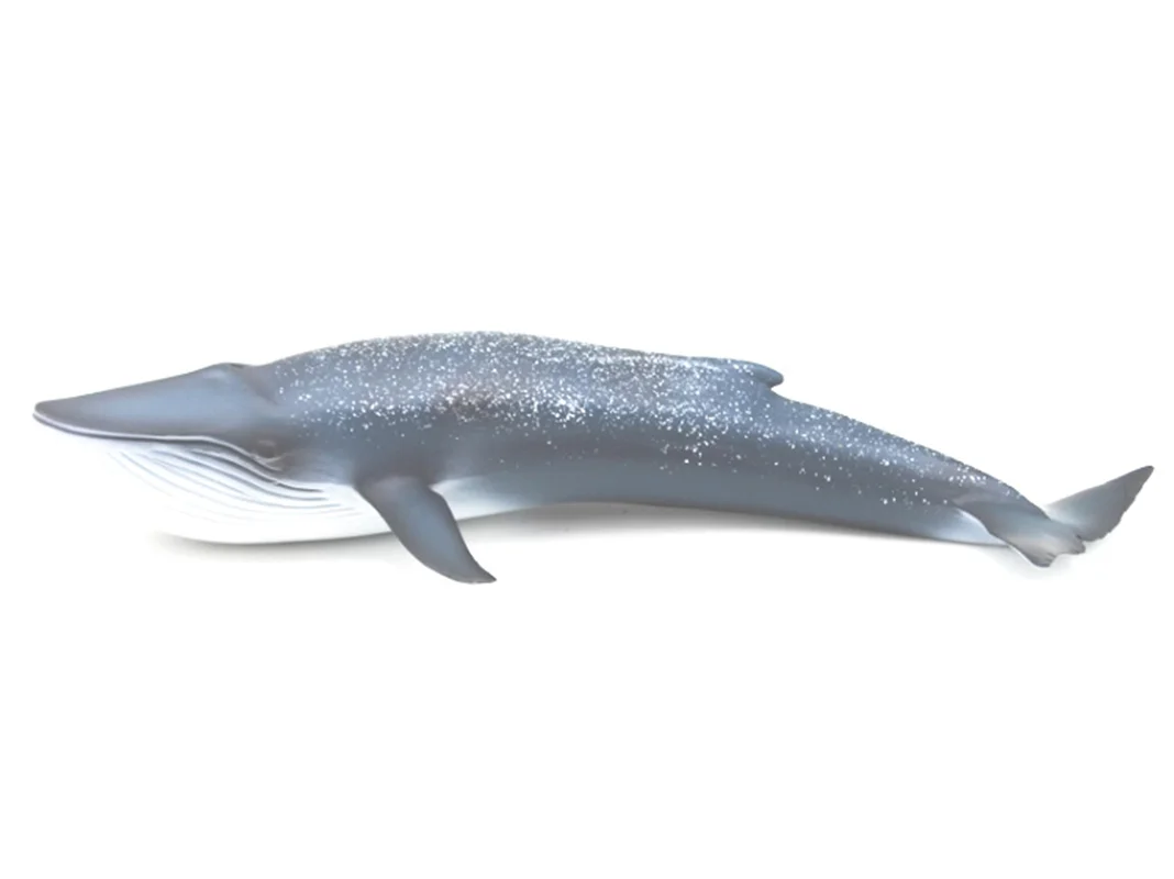 فیگور وال آبی رنگ نهنگ آبی   Blue Whale Animals figure M6001