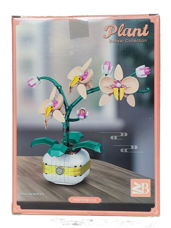 گلدان گل ارکیده فالِنوپسیس Orchid Plant Pot Phalaenopsis 33039 نمای روبرو