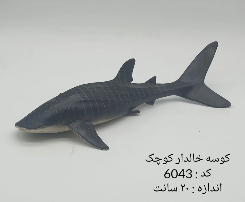 فیگور کوسه نهنگ خالدار راه راه
