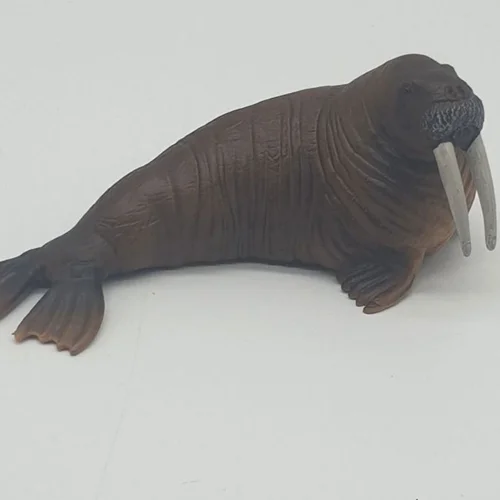 فیگور حیوان دریایی «گراز دریایی» M6014