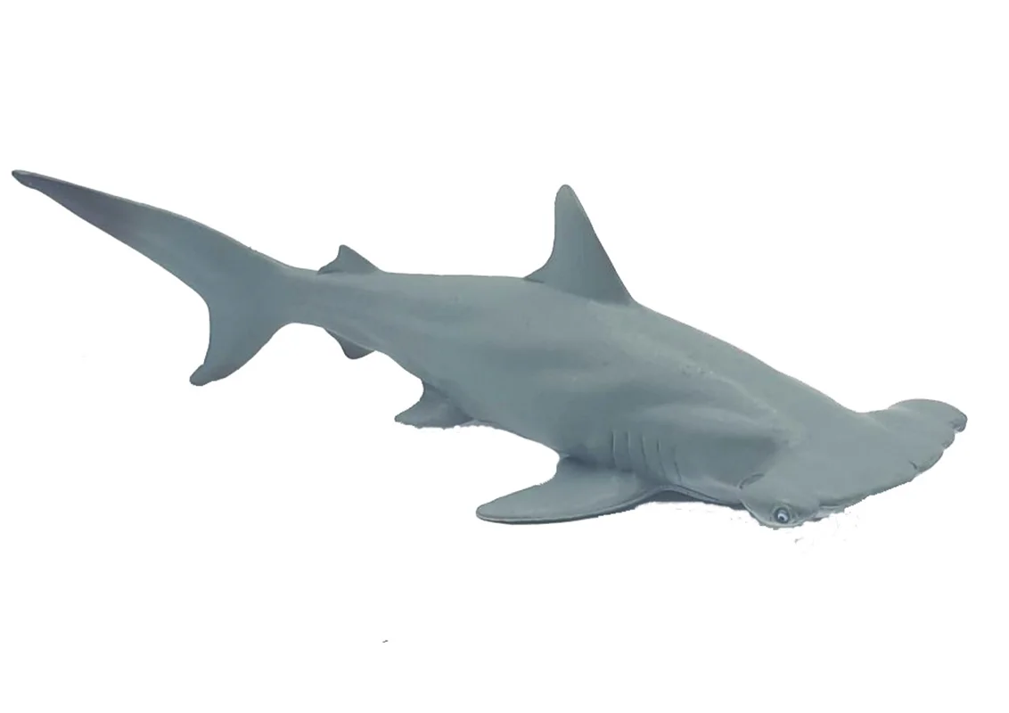 خرید فیگور موفان توی حیوان دریایی  فیگور «کوسه سرچکشی» فیگور مدل واقعی حیوانات، مجسمه حیوان، مدل شبیه سازی شده حیوان Mofun Toy Hammerhead shark Simulation Model Animals figure M6017