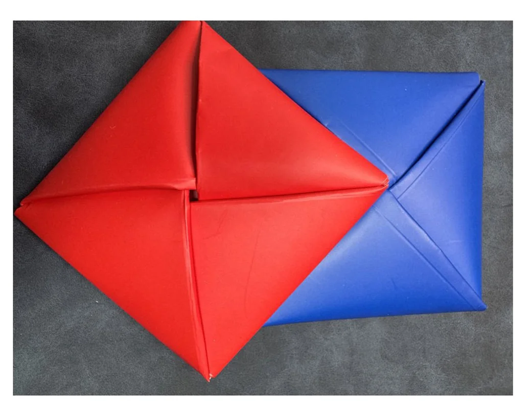 نمای نزدیک از داکجیها