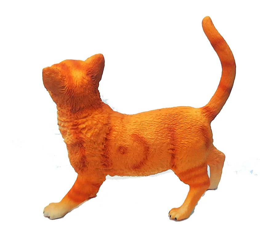 خرید فیگور حیوان اهلی فیگور «گربه نژاد حبشی» فیگور مدل واقعی حیوانات، مجسمه حیوان، مدل شبیه سازی شده حیوان Abyssinian Cat Simulation Model Animals Figure PL127-1103