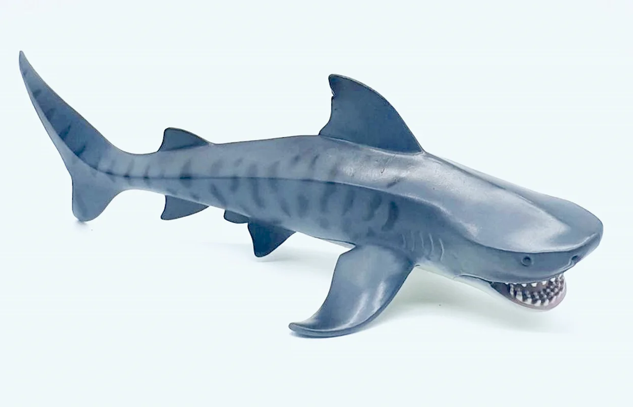 خرید فیگور موفان توی حیوان دریایی  فیگور «کوسه ببری خالدار بزرگ» فیگور مدل واقعی حیوانات، مجسمه حیوان، مدل شبیه سازی شده حیوان Mofun Toy Large Tiger Shark Simulation Model Animals figure M6038