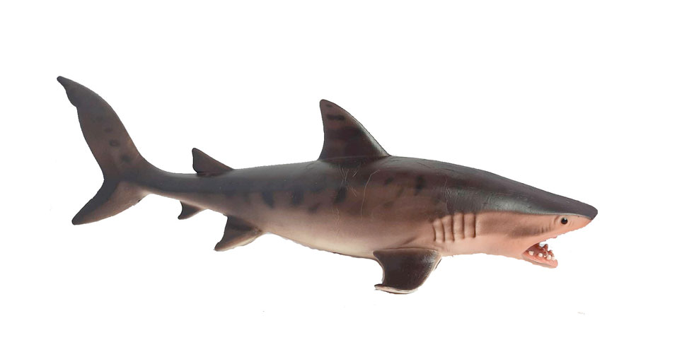 فیگور کوسه ببری Tiger Shark PL127-1102